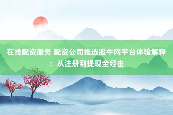 在线配资服务 配资公司推选股牛网平台体验解释：从注册到提现全经由